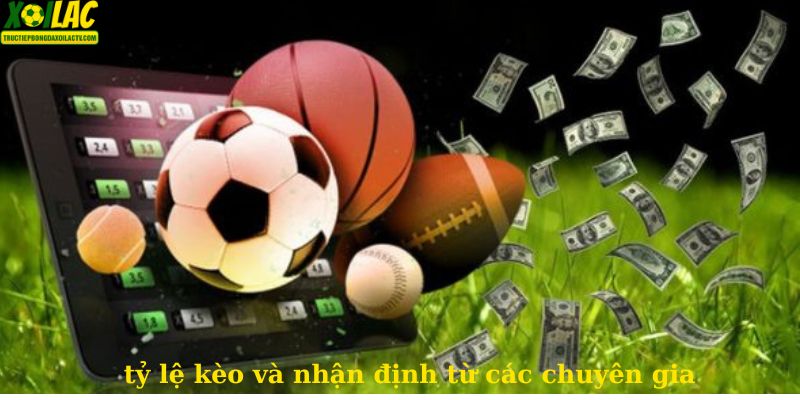 tỷ lệ kèo và nhận định từ các chuyên gia