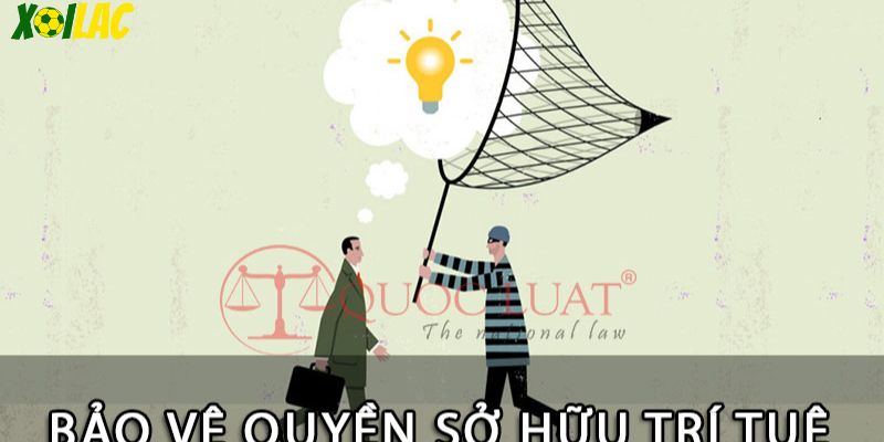 Bảo vệ quyền sở hữu trí tuệ