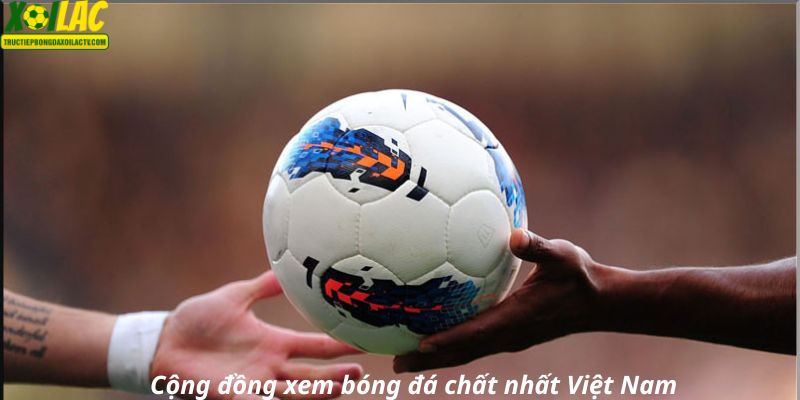 Hội cổ động viên hùng hậu tại Xoilactv