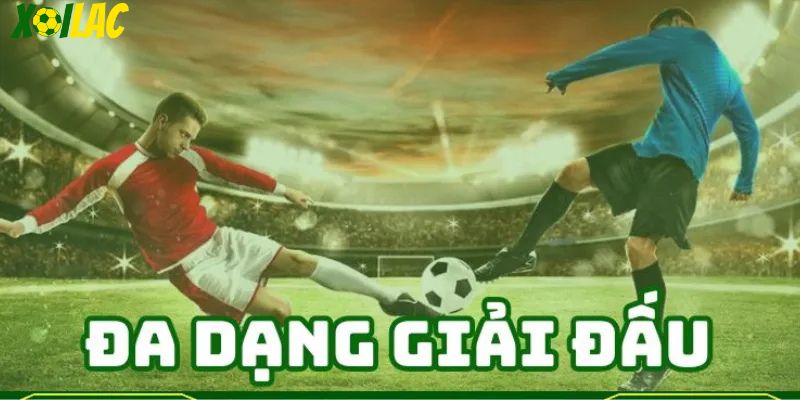 Đa dạng giải đấu tại xoilactv