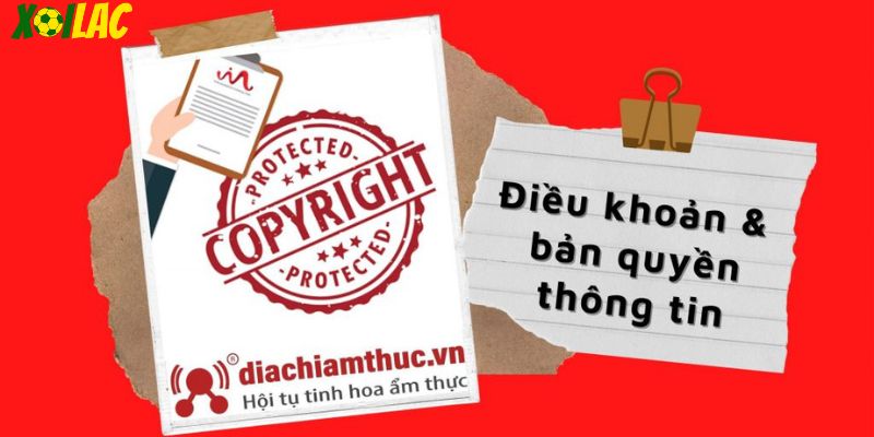 Điều khoản bản quyền thông tin