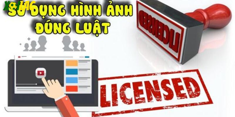 Sử dụng hình ảnh đúng luật tại xoilactv