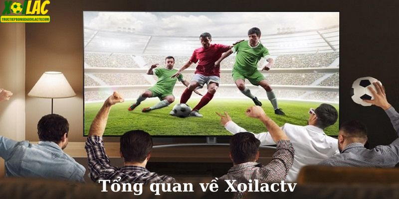 Giới thiệu tổng quan về nền tảng xoilactv